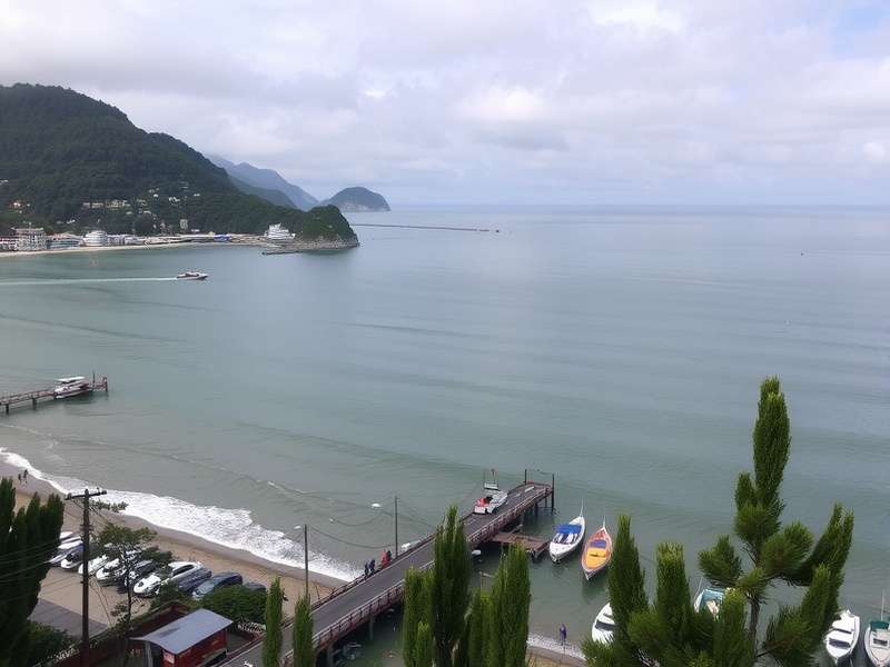 王磊 - 巴西足球专家